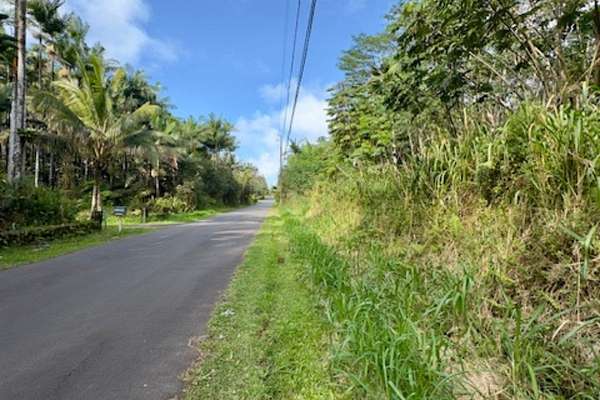 1 Acre of Land for Sale in Pahoa, Hawaii