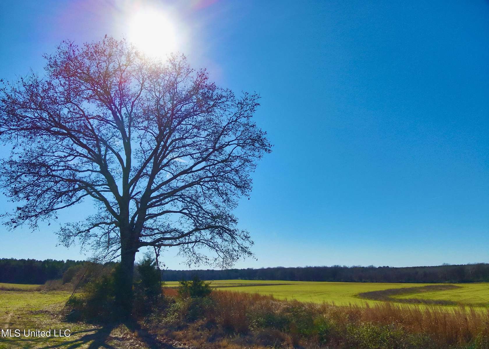 240 Acres of Recreational Land for Sale in Lexington, Mississippi