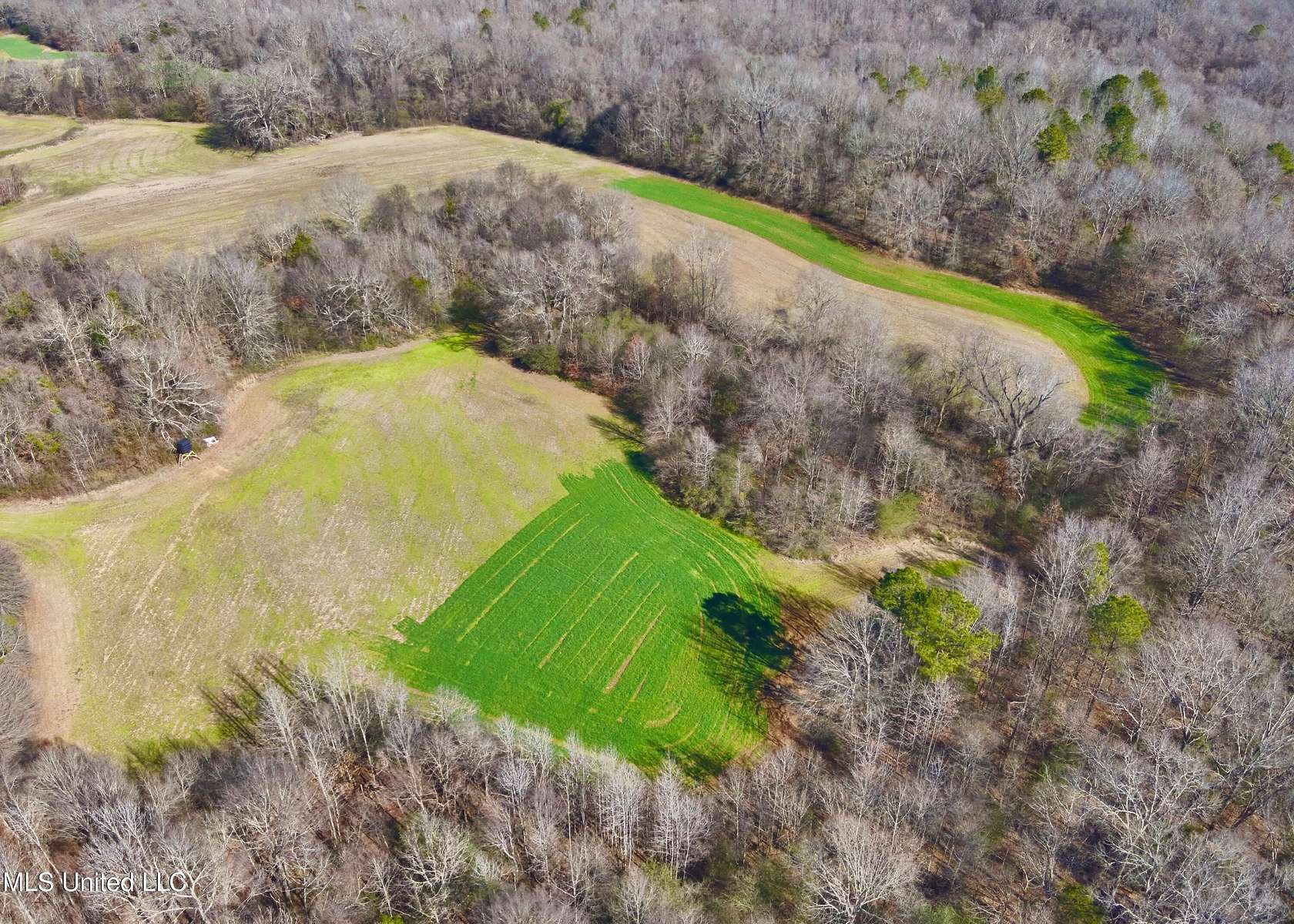 240 Acres of Recreational & Residential Land for Sale in Lexington, Mississippi