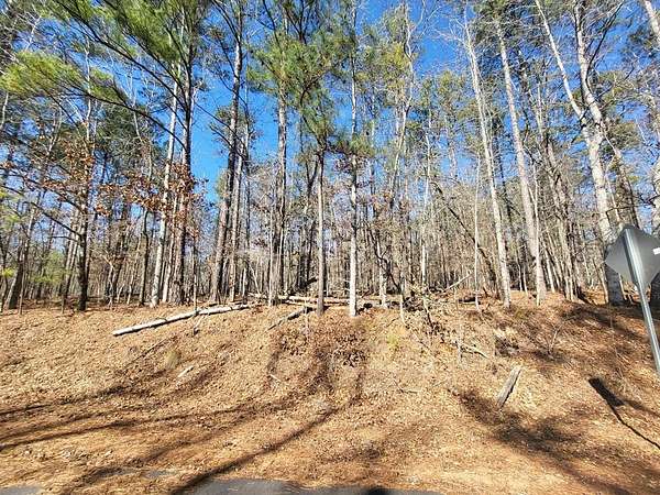 0.52 Acres of Residential Land for Sale in Sparta, Georgia