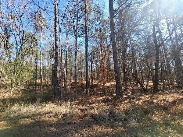 0.5 Acres of Residential Land for Sale in Sparta, Georgia