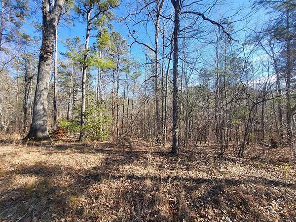 0.5 Acres of Residential Land for Sale in Sparta, Georgia