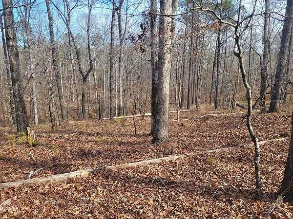 0.5 Acres of Land for Sale in Sparta, Georgia