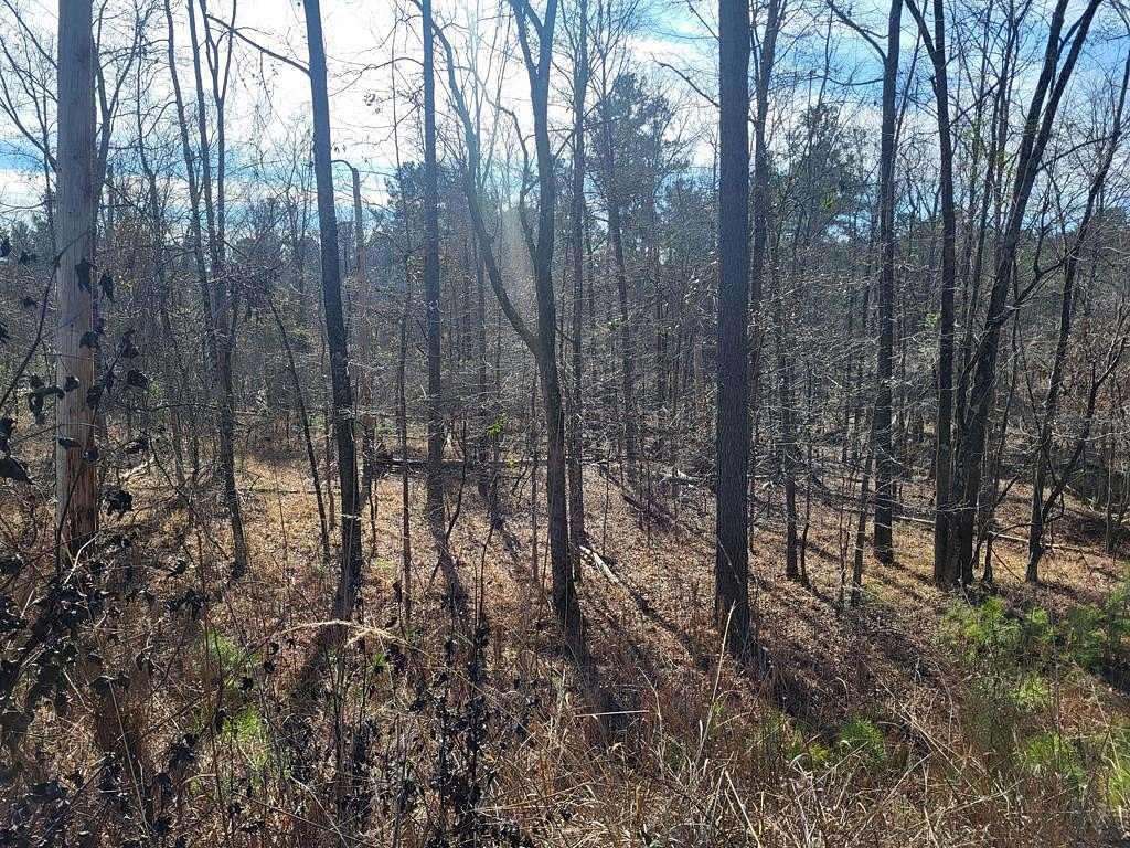 0.5 Acres of Residential Land for Sale in Sparta, Georgia