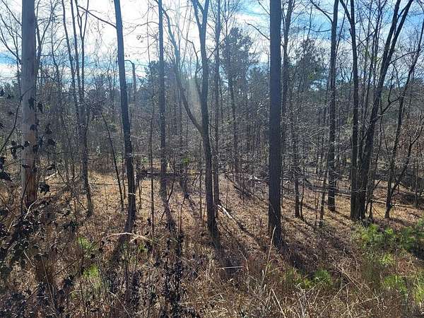 0.5 Acres of Land for Sale in Sparta, Georgia