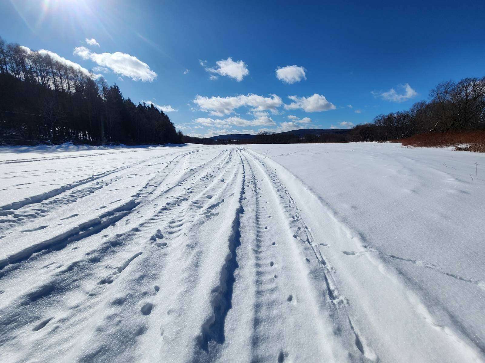 47 Acres of Recreational Land & Farm for Sale in Norwich, New York