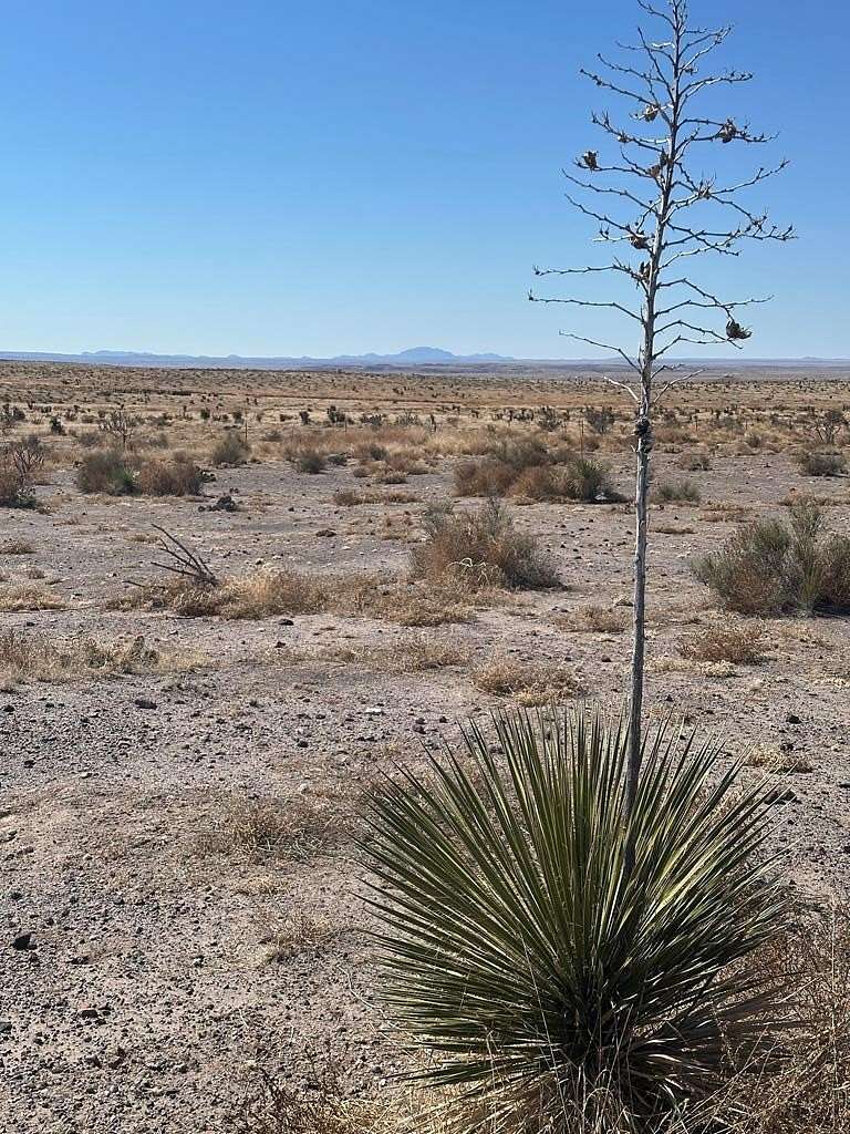 10 Acres of Residential Land for Sale in Marfa, Texas
