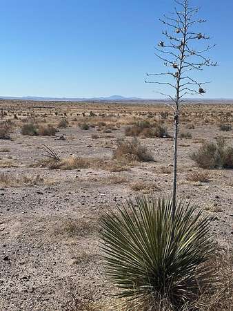 10 Acres of Residential Land for Sale in Marfa, Texas