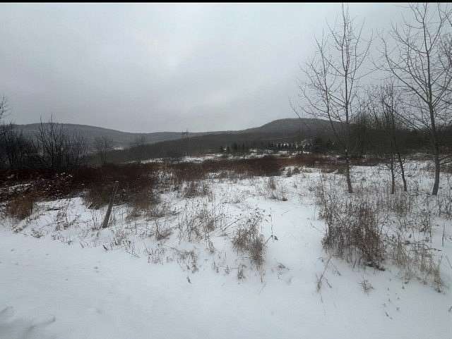 6 Acres of Land for Sale in Hobart, New York