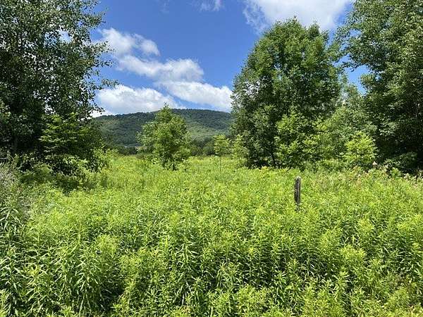 6 Acres of Land for Sale in Hobart, New York