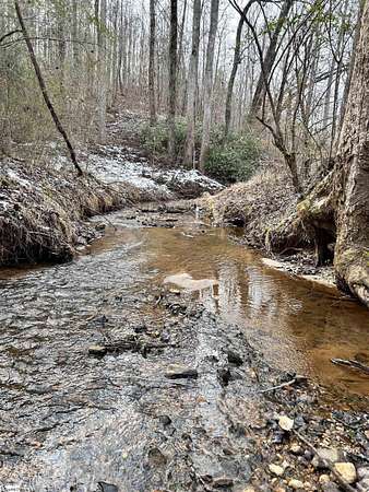 43 Acres of Recreational & Residential Land for Sale in Six Mile, South Carolina