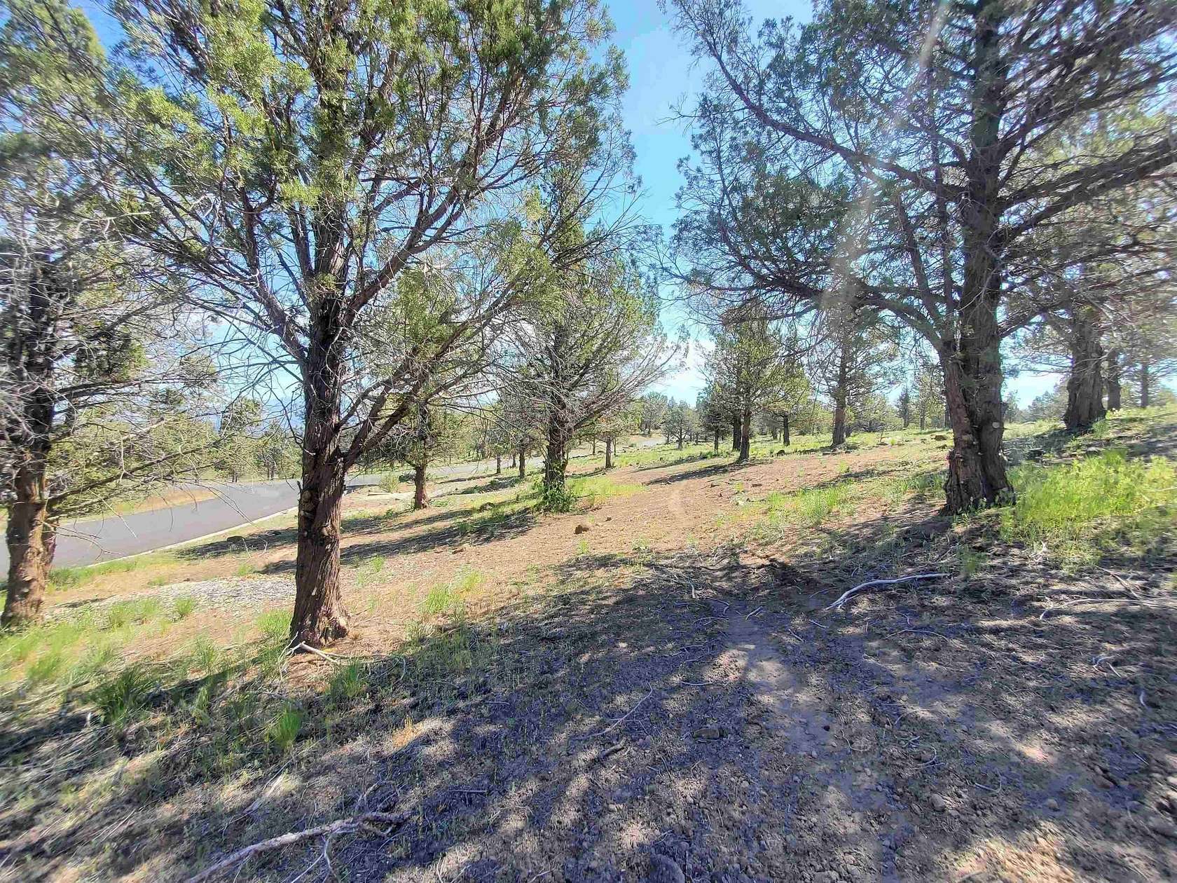 0.27 Acres of Residential Land for Sale in Weed, California
