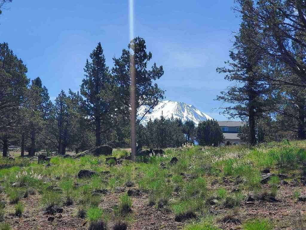 0.27 Acres of Residential Land for Sale in Weed, California