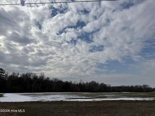 18.4 Acres of Land for Sale in Tyner, North Carolina