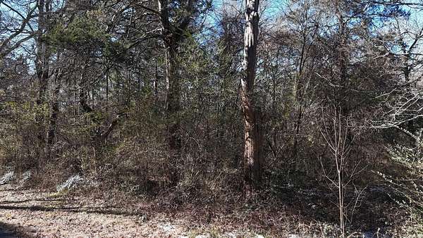 0.45 Acres of Residential Land for Sale in Mena, Arkansas