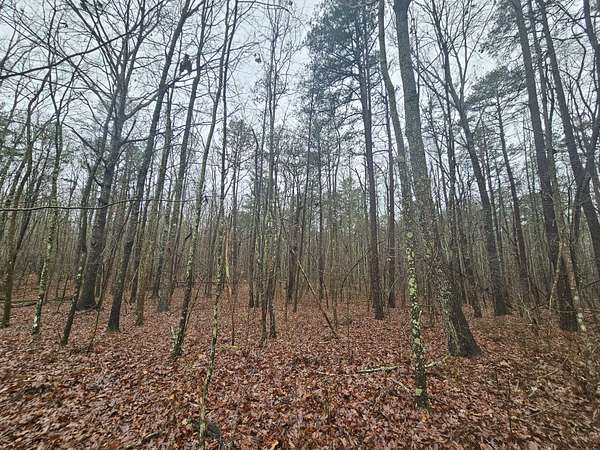 16 Acres of Land for Sale in Sequatchie, Tennessee