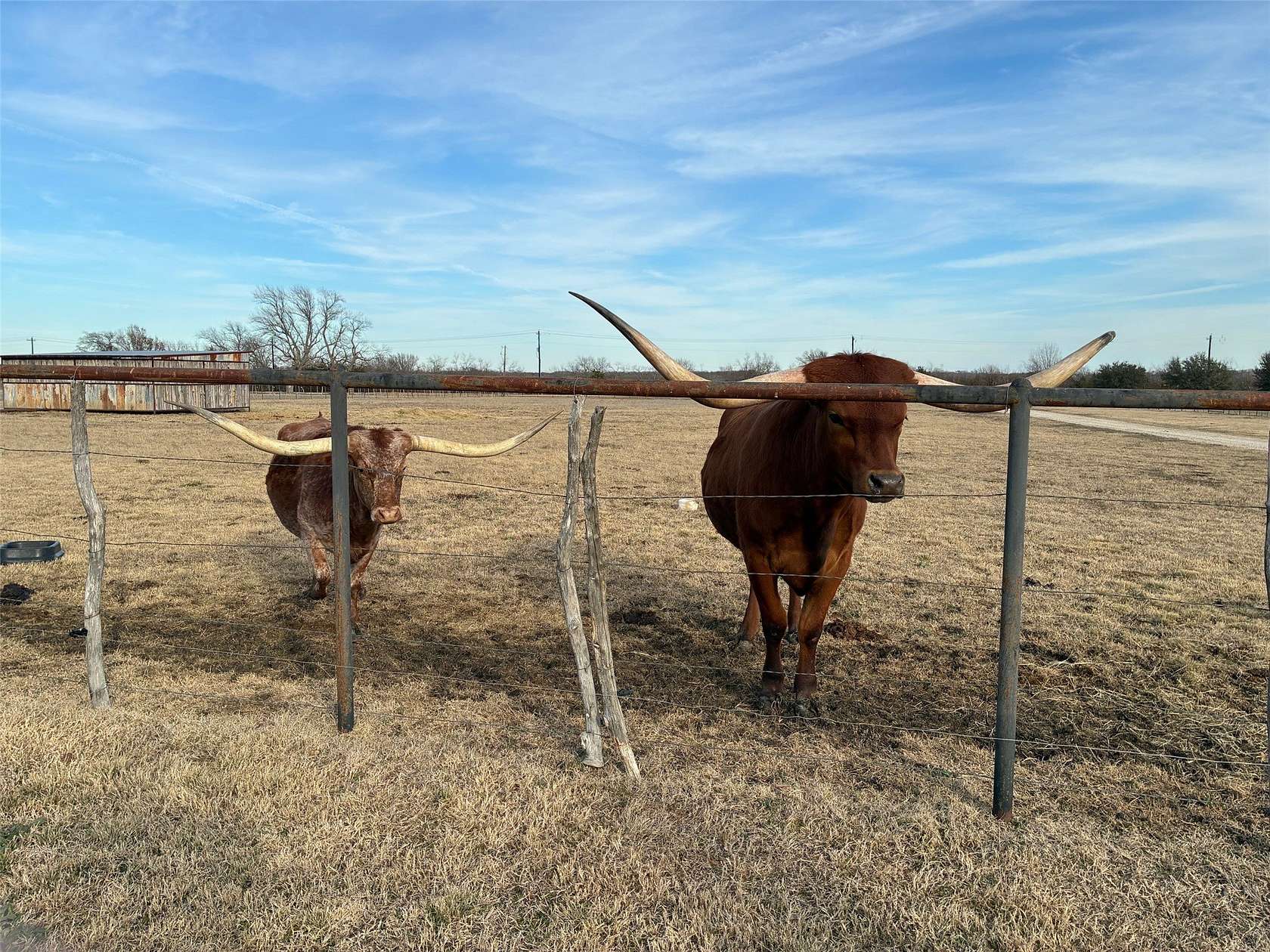9 Acres of Land with Home for Sale in Anna, Texas