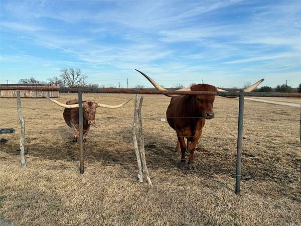 9 Acres of Land with Home for Sale in Anna, Texas