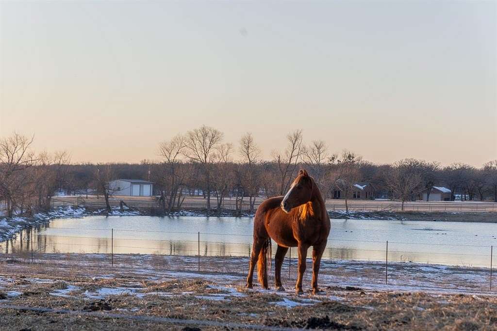 31 Acres of Land with Home for Sale in Decatur, Texas