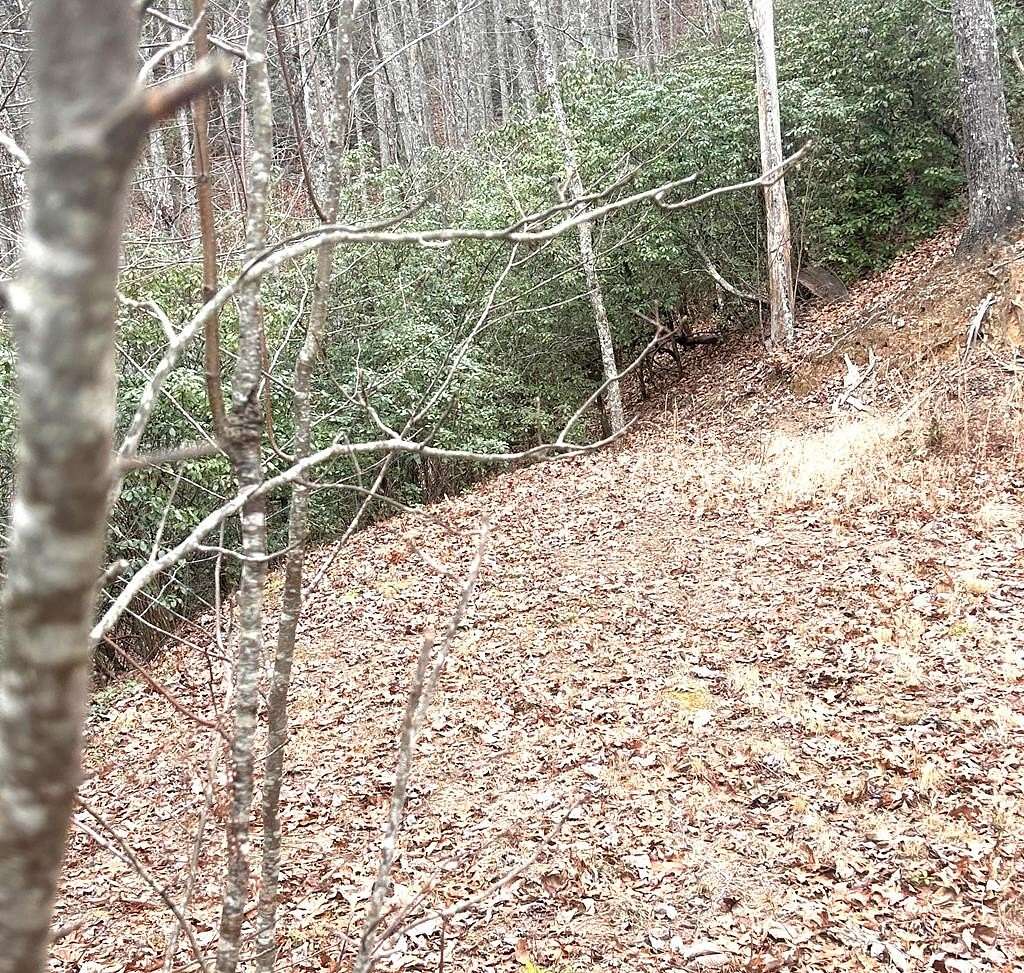 5.5 Acres of Land for Sale in Robbinsville, North Carolina