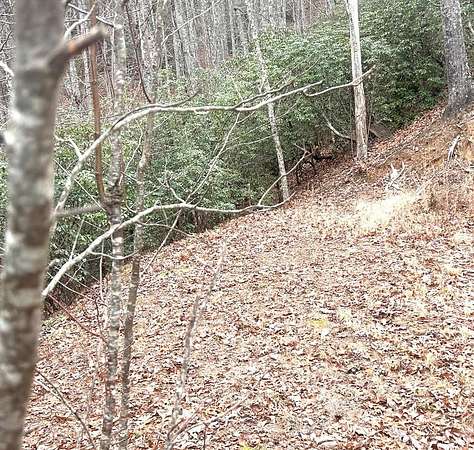 5.5 Acres of Residential Land for Sale in Robbinsville, North Carolina
