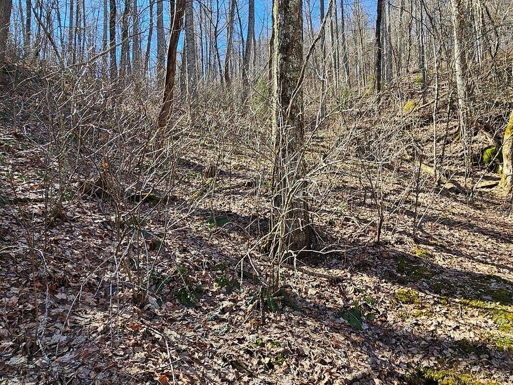 0.99 Acres of Residential Land for Sale in Franklin, North Carolina