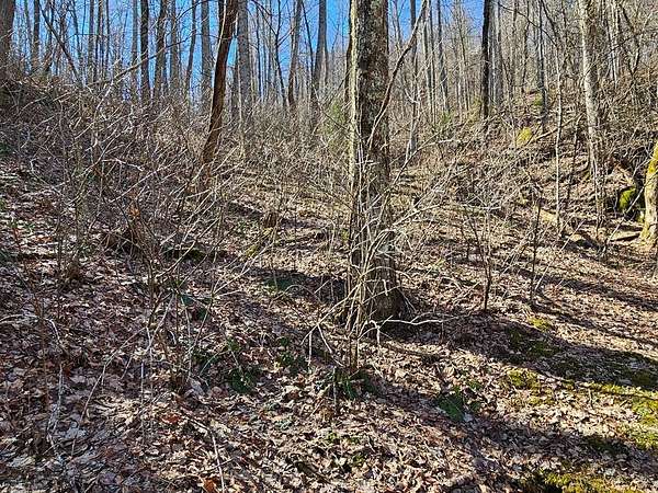0.99 Acres of Residential Land for Sale in Franklin, North Carolina