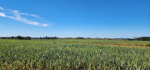 1,202 Acres of Agricultural Land for Sale in Scottsville, Virginia