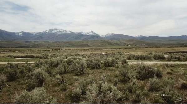 1 Acre of Residential Land for Sale in Deeth, Nevada