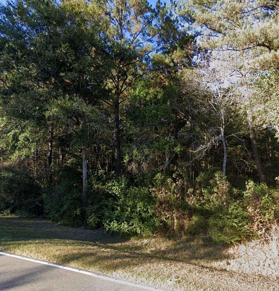 1 Acre of Residential Land for Sale in Carriere, Mississippi