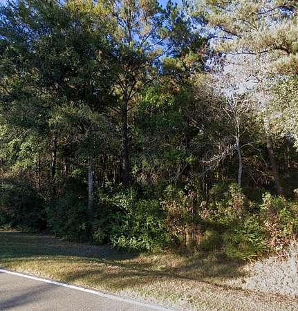 1 Acre of Residential Land for Sale in Carriere, Mississippi