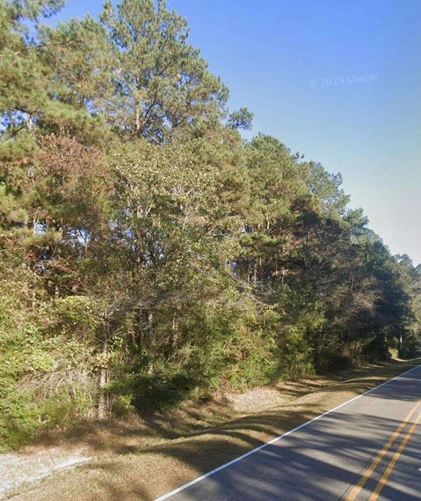 1 Acre of Residential Land for Sale in Carriere, Mississippi