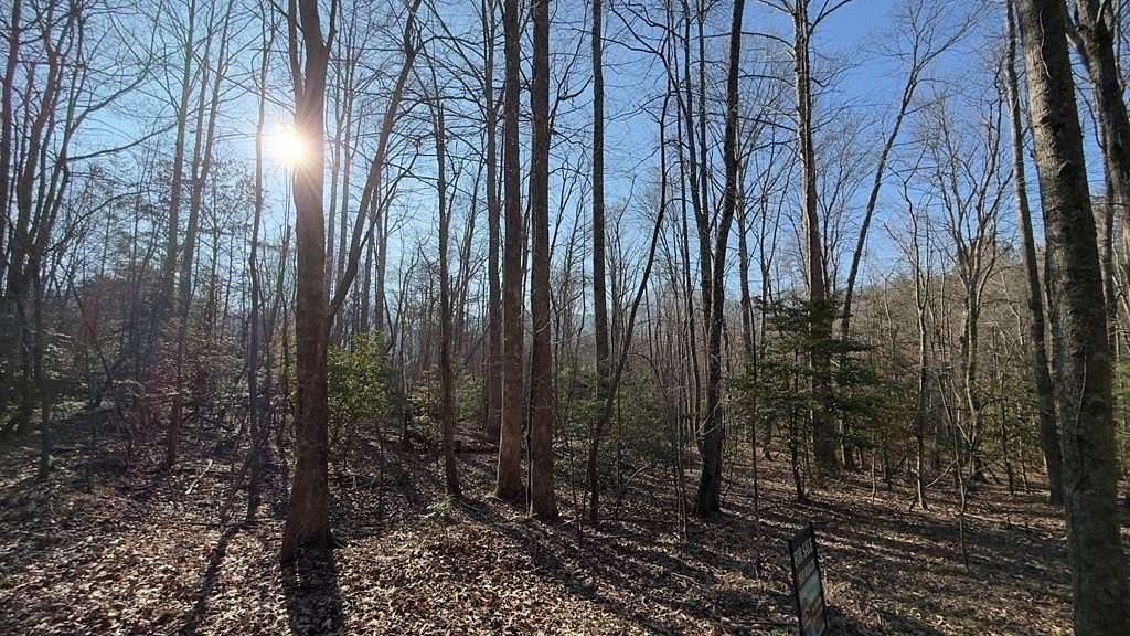 2 Acres of Residential Land for Sale in Hiawassee, Georgia