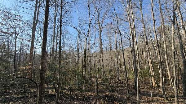 4 Acres of Residential Land for Sale in Hiawassee, Georgia