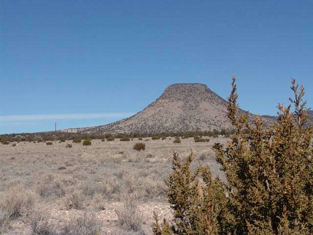 5.58 Acres of Residential Land for Sale in Datil, New Mexico