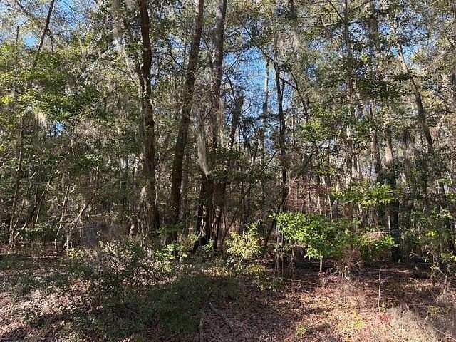 2 Acres of Residential Land for Sale in Midway, Georgia