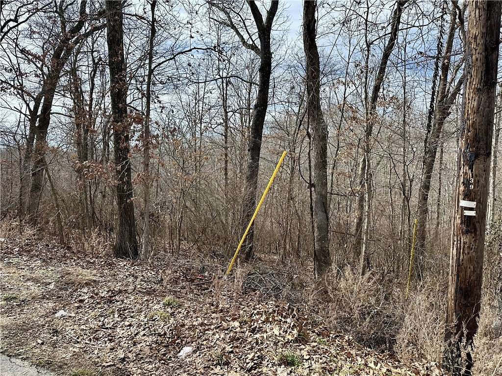 0.24 Acres of Residential Land for Sale in Bella Vista, Arkansas