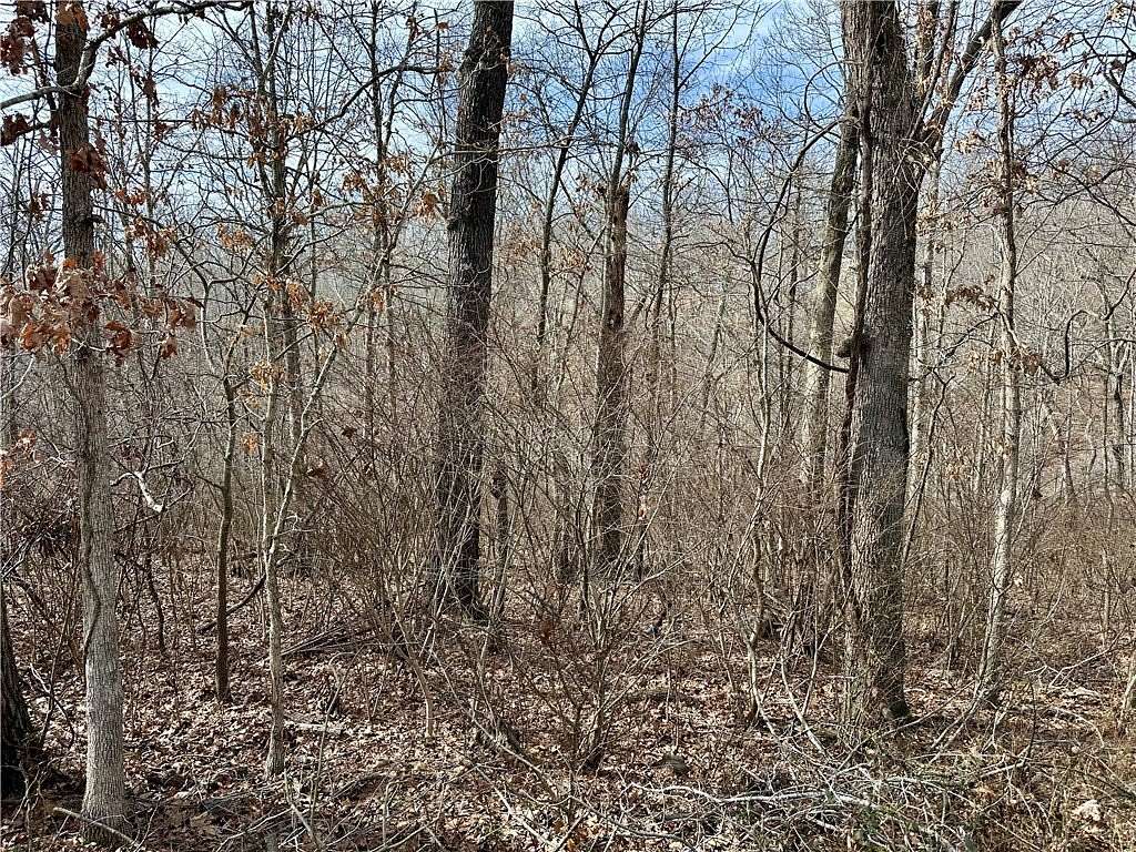 0.24 Acres of Residential Land for Sale in Bella Vista, Arkansas