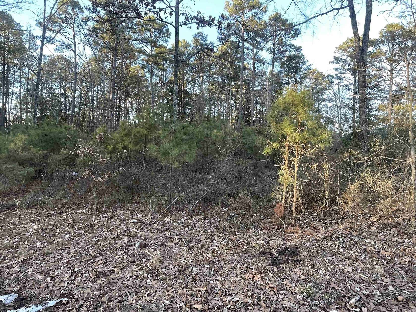 0.63 Acres of Residential Land for Sale in Higden, Arkansas