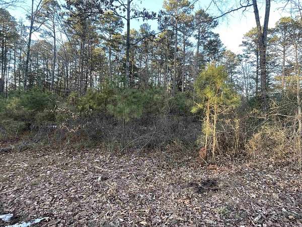 0.63 Acres of Residential Land for Sale in Higden, Arkansas