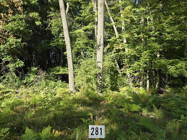 0.66 Acres of Land for Sale in Stanwood, Michigan
