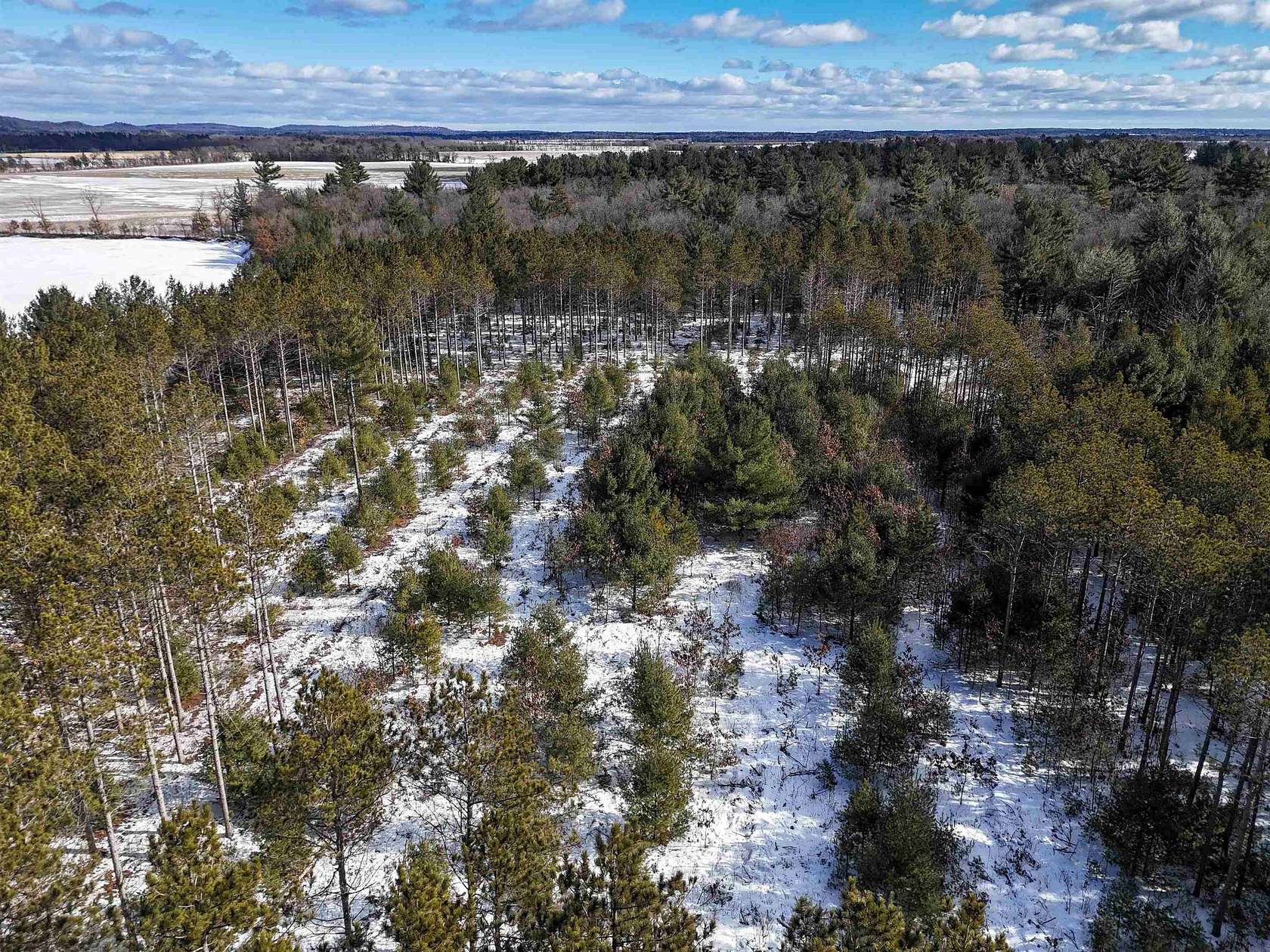 19.8 Acres of Land for Sale in Grand Marsh, Wisconsin