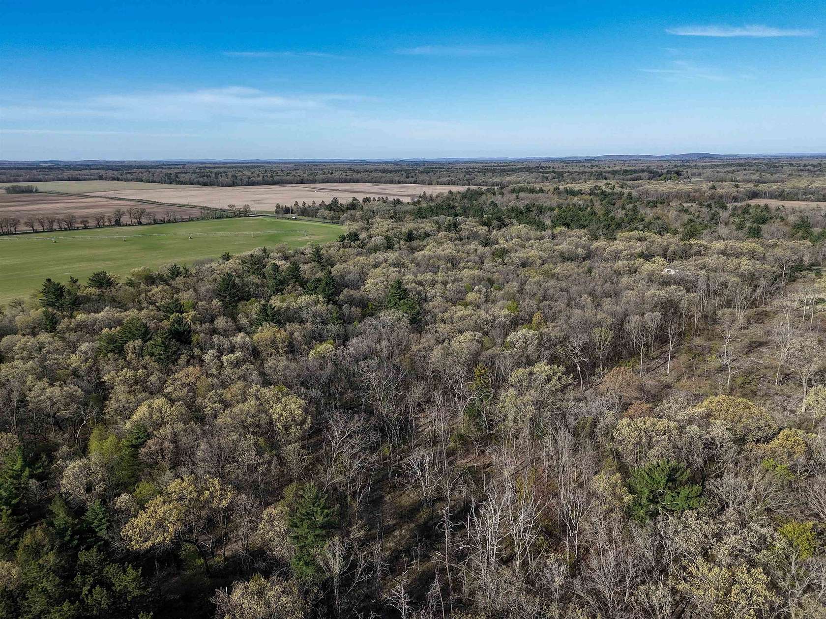 19.8 Acres of Land for Sale in Grand Marsh, Wisconsin