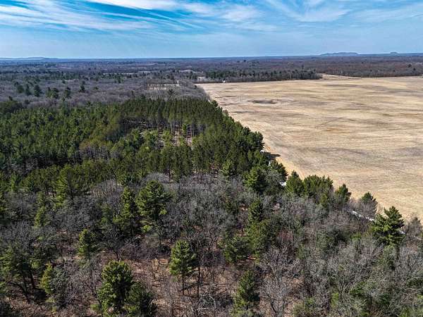 19.8 Acres of Land for Sale in Grand Marsh, Wisconsin