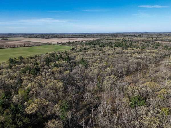 19.8 Acres of Land for Sale in Grand Marsh, Wisconsin