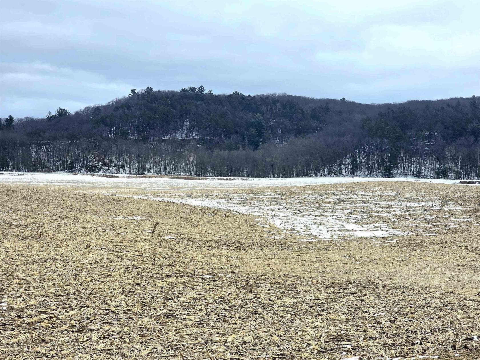 137 Acres of Recreational Land for Sale in Mauston, Wisconsin