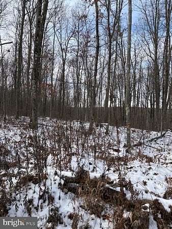 13.3 Acres of Recreational Land for Sale in Clarence, Pennsylvania
