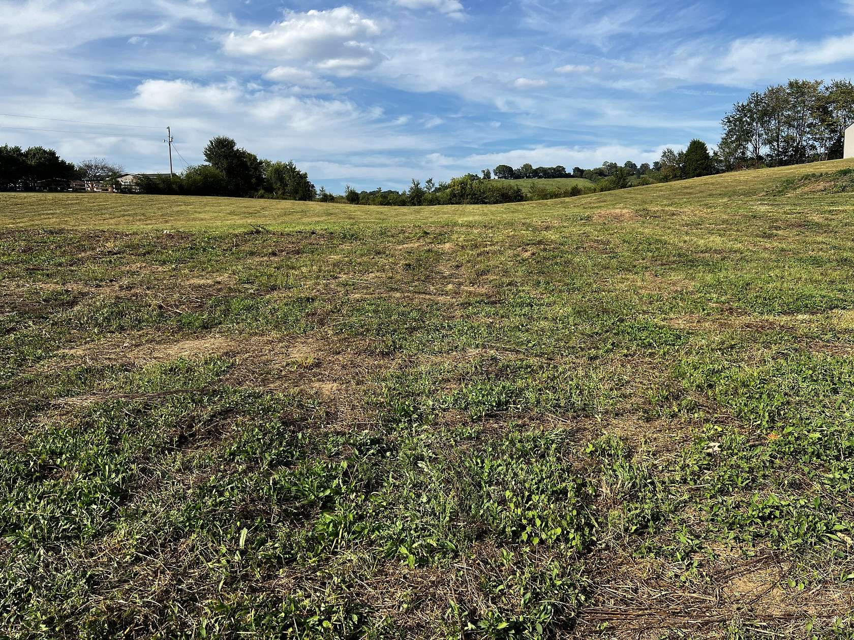 3.29 Acres of Residential Land for Sale in Lynnville, Tennessee