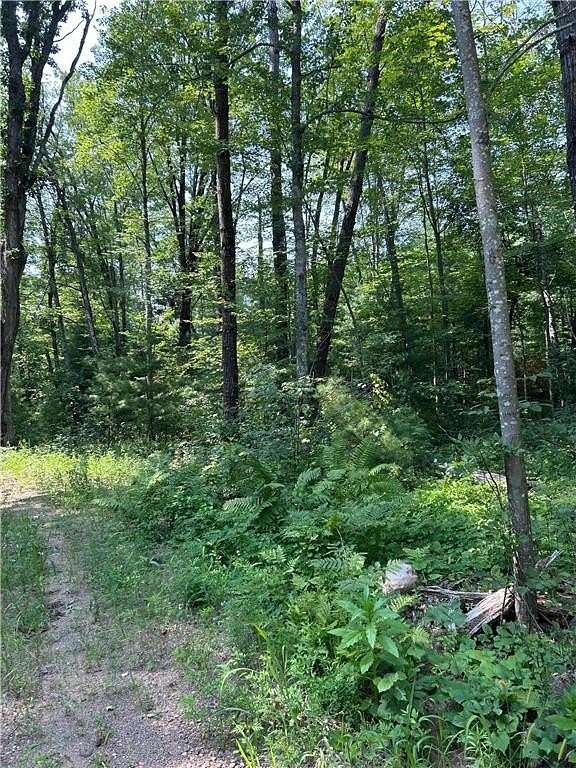 4.86 Acres of Residential Land for Sale in Webster, Wisconsin