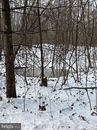 51.6 Acres of Recreational Land for Sale in Clarence, Pennsylvania